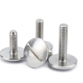 M4*25mm Stainless Steel ss304 ss316 Slotted Truss Head Screws